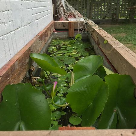 Eco Willow - Kathaluwa Atadahewatugoda Eksteriør billede